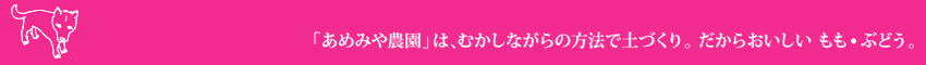 あめみや農園はむかしながらの方法でづくり｡だからおいしい　もも・ぶどう｡