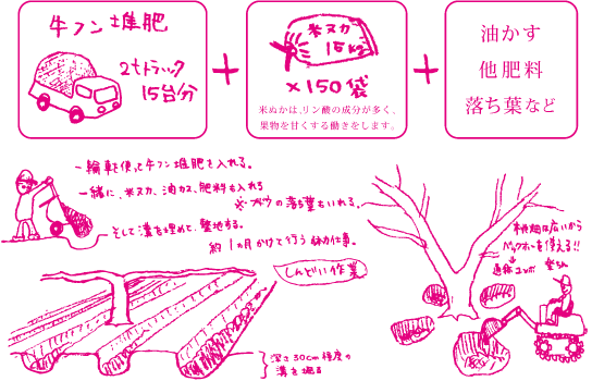 土作りについて